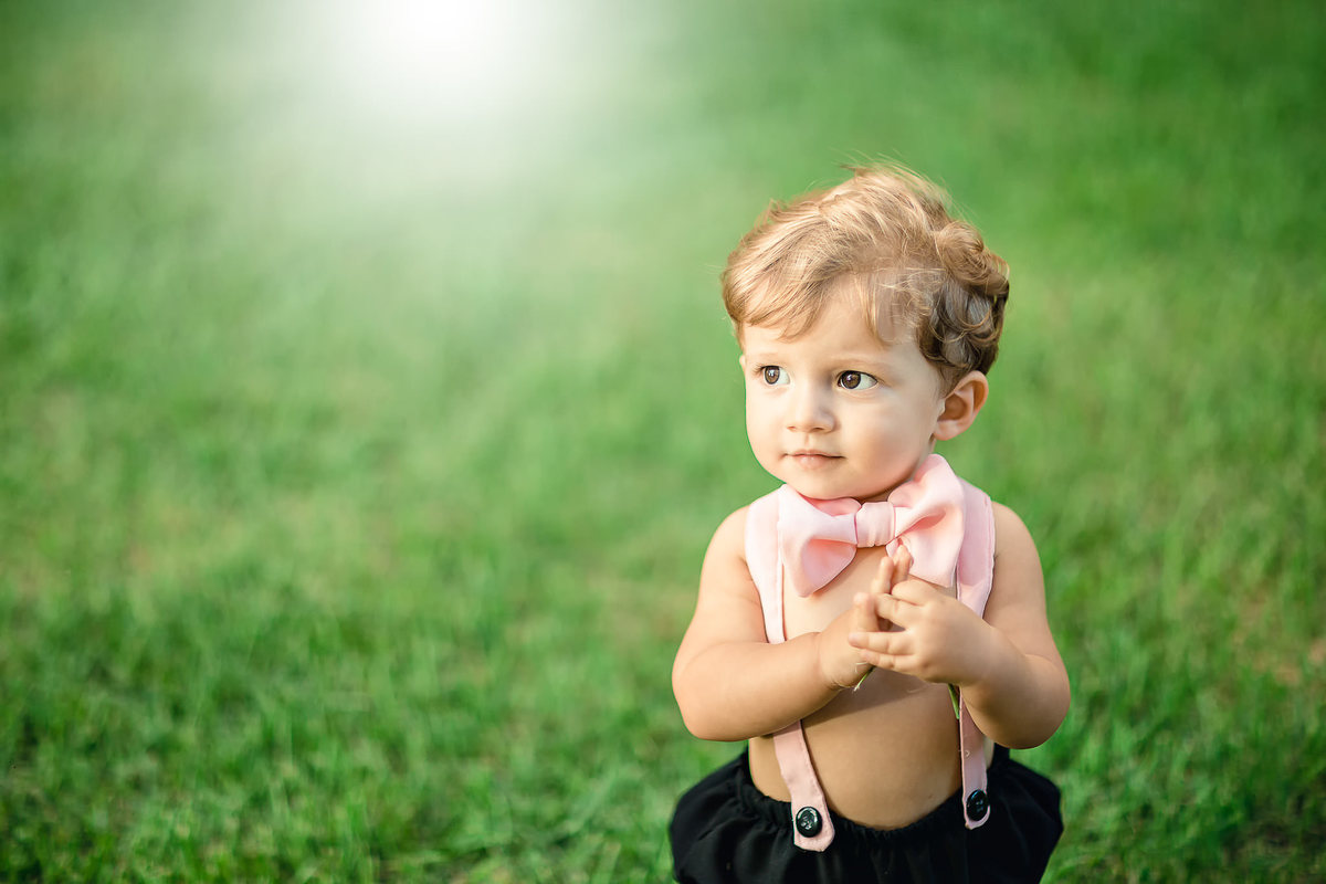 ensaio-smash-the-cake-mundo-bita-cores-piquinic-criança-fotografia-bolo-aniversário-1-aninho-diversão-book