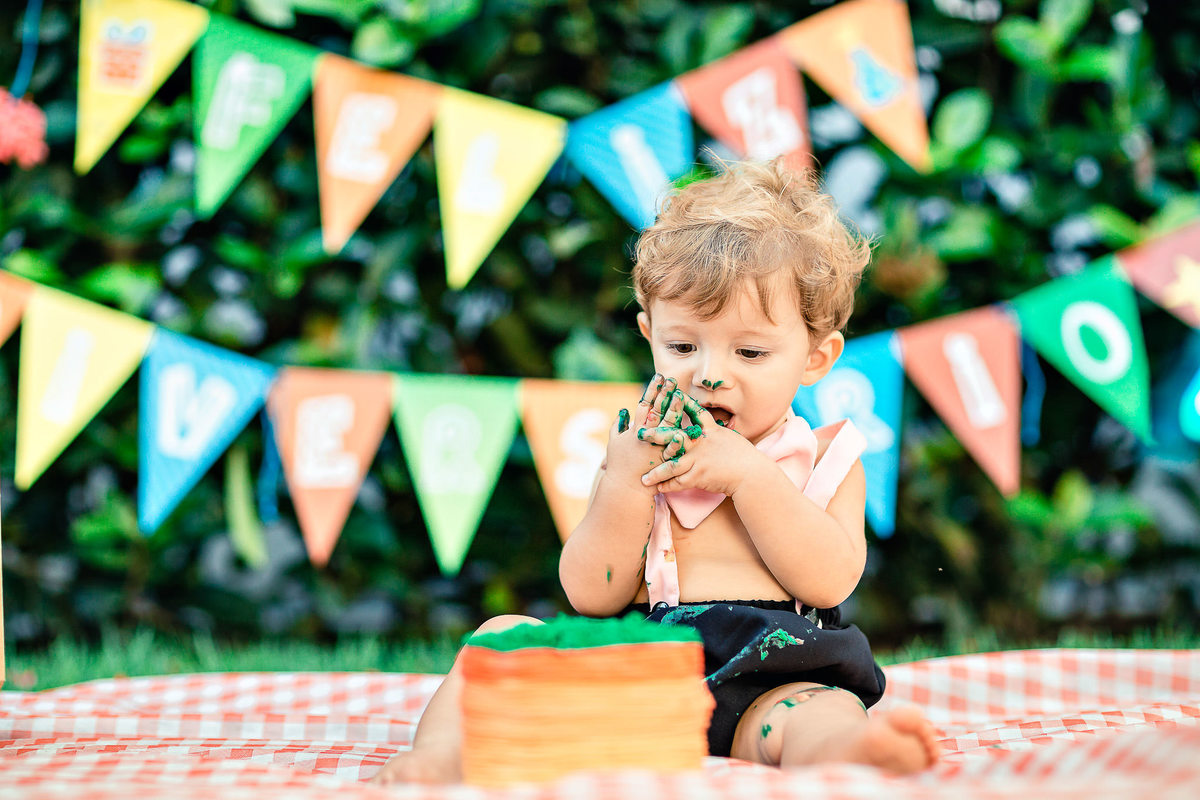 ensaio-smash-the-cake-mundo-bita-cores-piquinic-criança-fotografia-bolo-aniversário-1-aninho-diversão-book