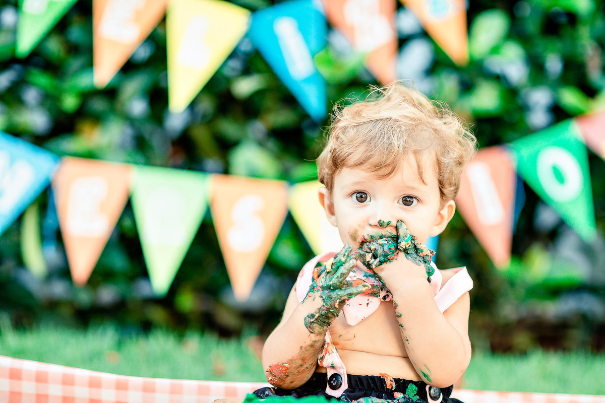 ensaio-smash-the-cake-mundo-bita-cores-piquinic-criança-fotografia-bolo-aniversário-1-aninho-diversão-book
