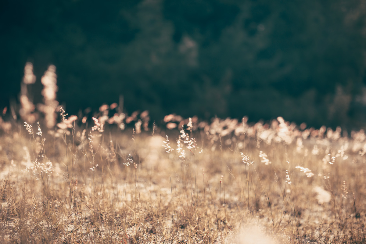 pre-wedding-ensaio-casal-praia-cumbuco-pico-das-almas-amor-love-book-fotos-casamento-beach-praia-fortaleza-ceara