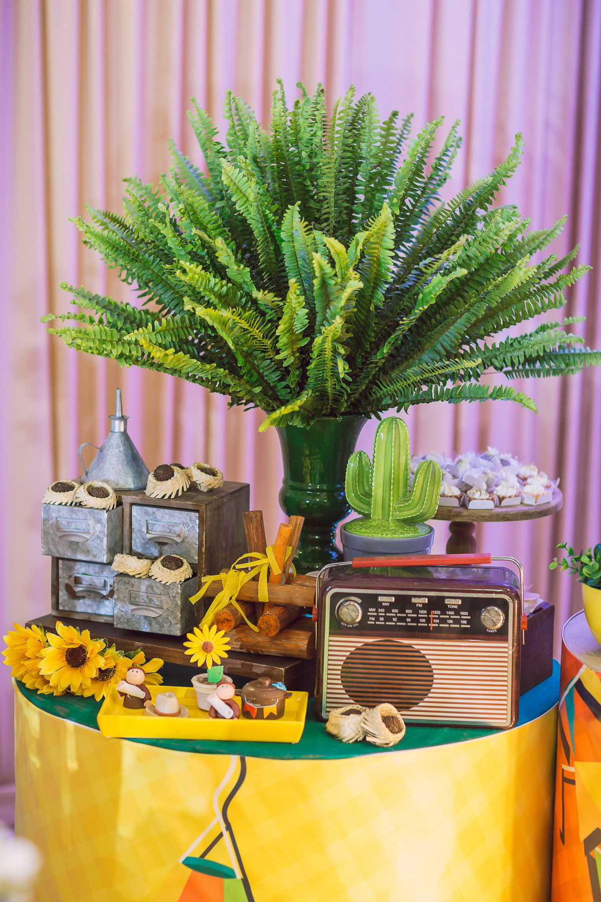 festa-infantil-arraiá-junino-fotografia-fotografo-infantil-criança-decoração-bolo-buffet-amor-pais-são-joão