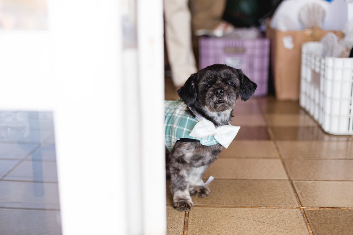 Casamento na Praia Ricardo Lima Fotógrafo