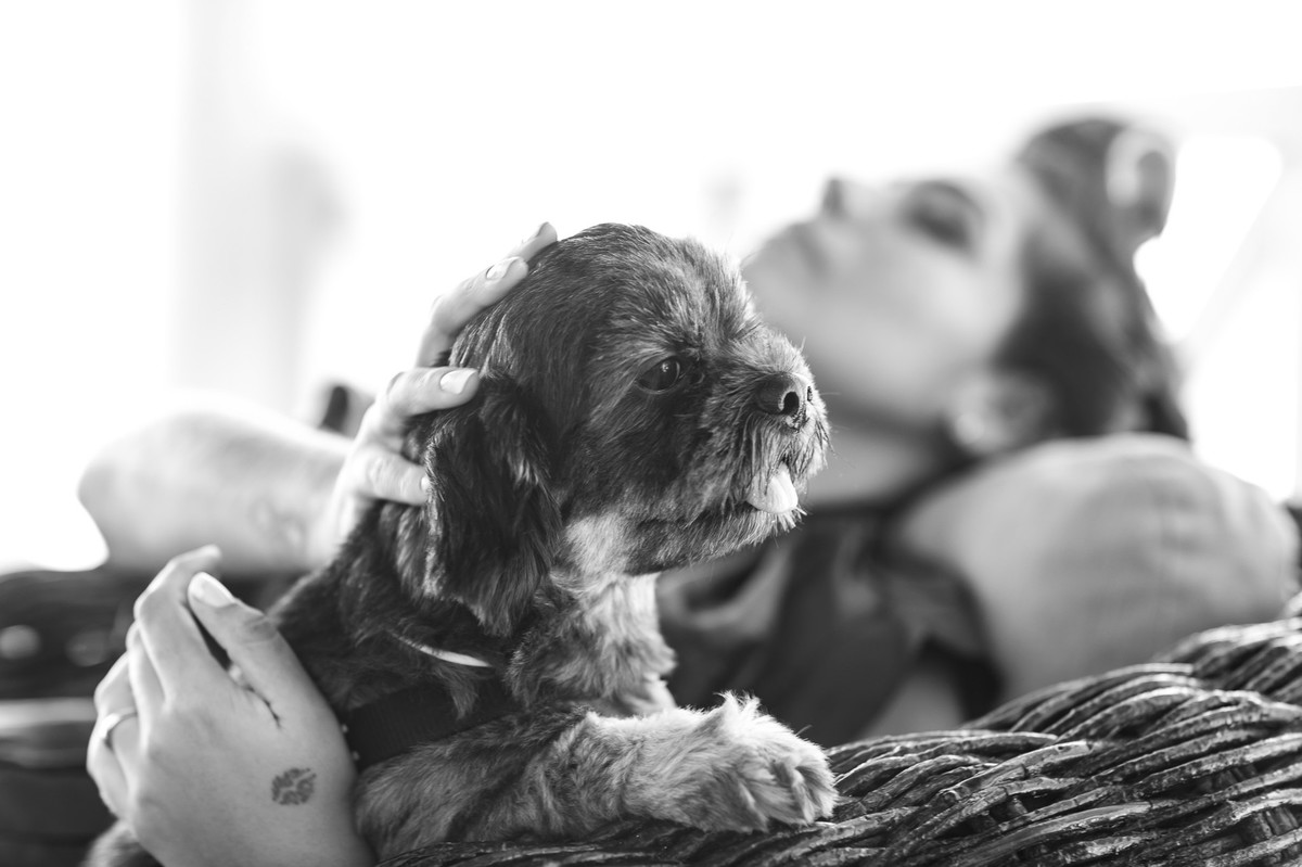 Casamento na Praia Ricardo Lima Fotógrafo