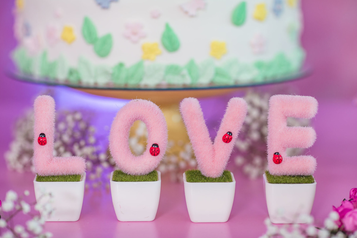 Festa Infantil Fortaleza-Ce Ricardo Lima Fotógrafo