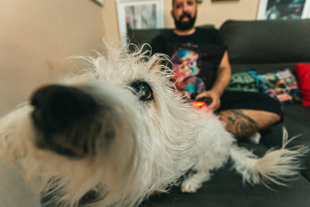 casal-noivos-noiva-casamento-vestido de noiva-pre wedding-book casal-ensaio-skate-pet-dog-game-ps4-rock in roll-vestido de noiva-allstar-converse-noiva de tenis