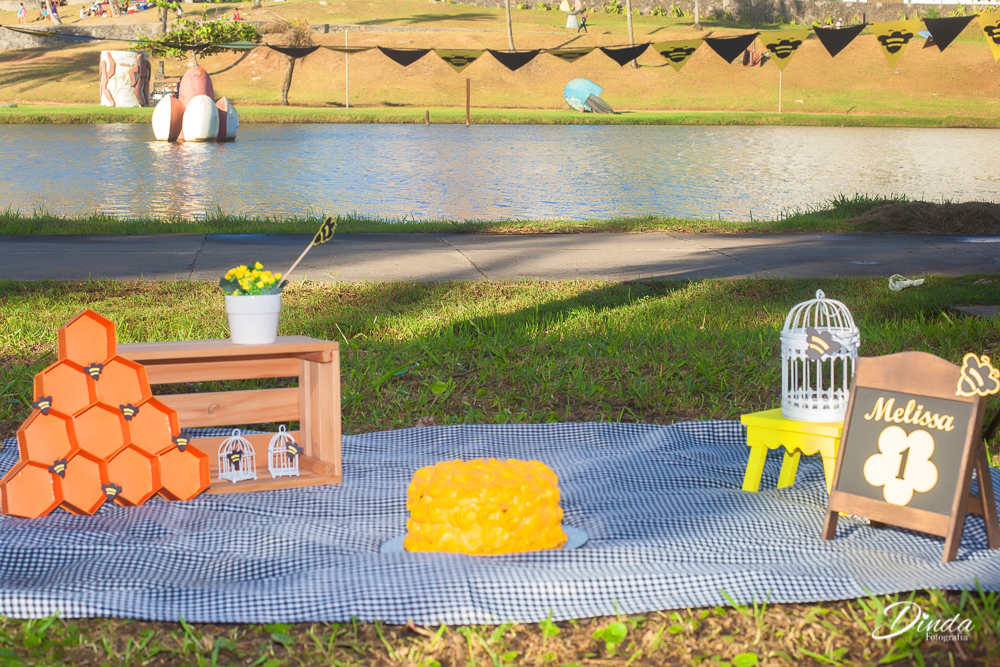 cenario do smash the cake de 1 ano de melissa com tema abelhinha, o lago e o jardim dão o charme no ambiente.