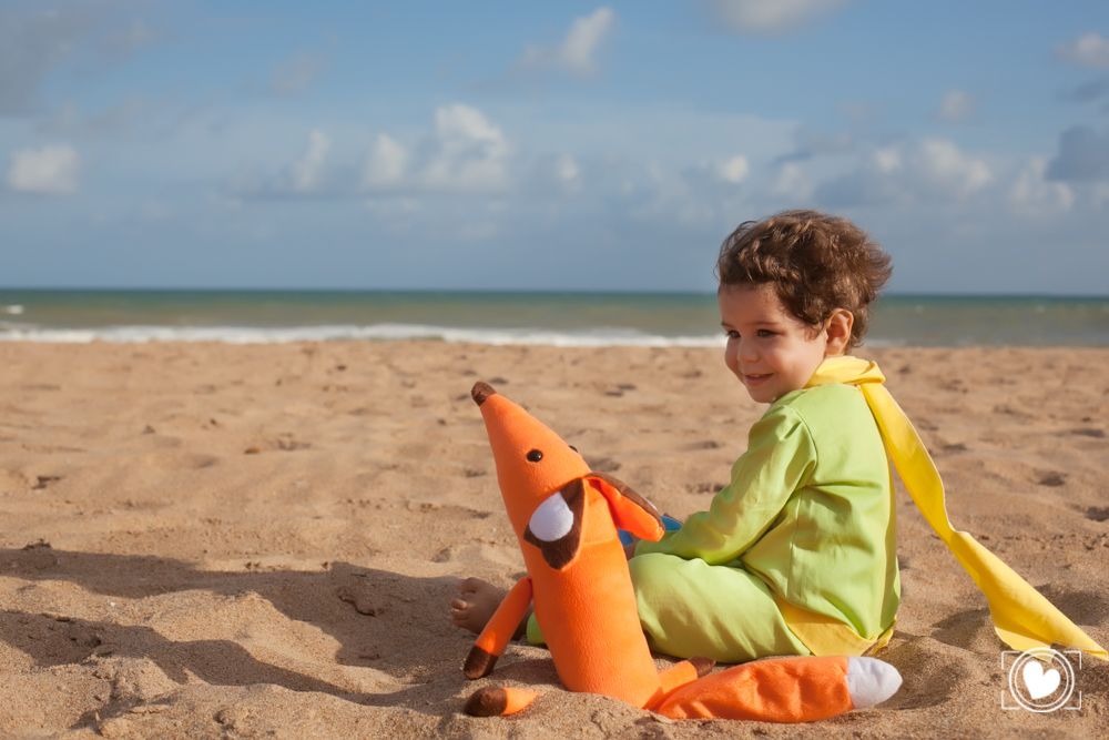 O mar, o Pequeno Príncipe, a raposa e uma boa conversa em uma tarde agradável.