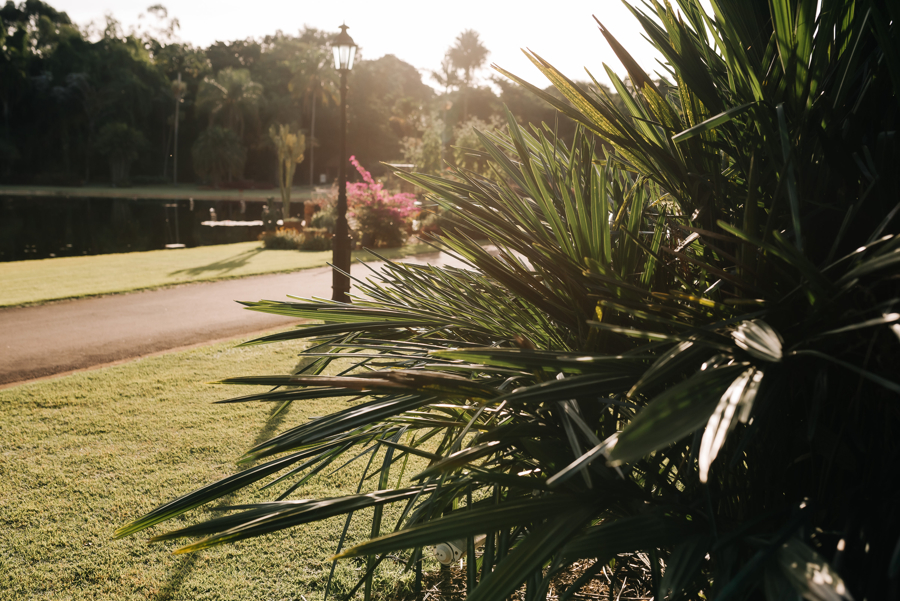Casamento Laila e André detalhes