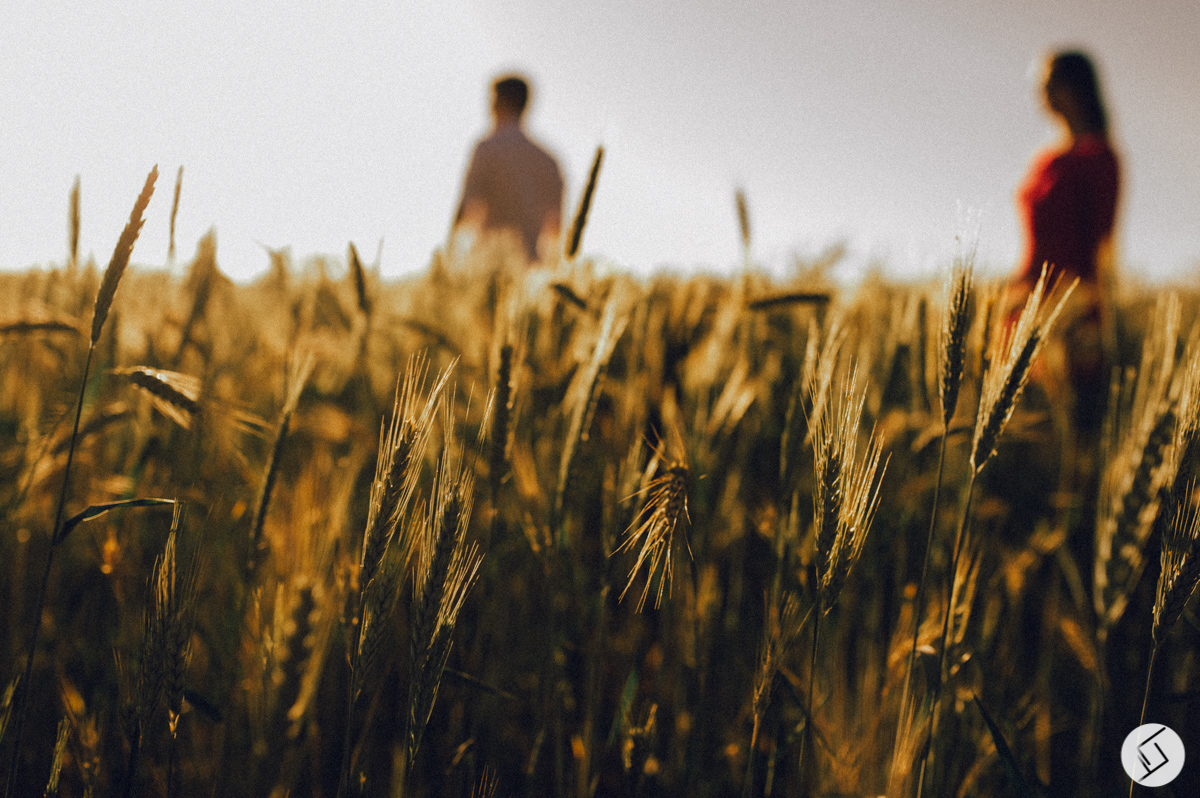 Ensaio, Fotografia, Fotógrafo de Casamento, wedding, fotografia , fotógrafo