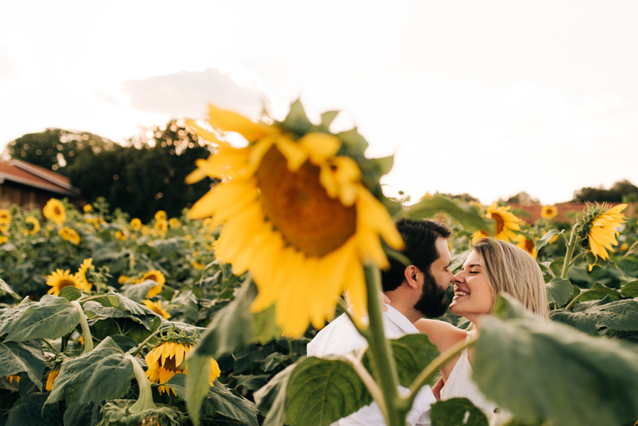 Ensaio Rebeca e Felipe, Ensaio, e-session, Holambra, Fotografia, Fotógrafo de casamento, fotógrafo de casamento em campinas, fotógrafo de casamento em Americana, Fotógrafo de casamento em São Paulo