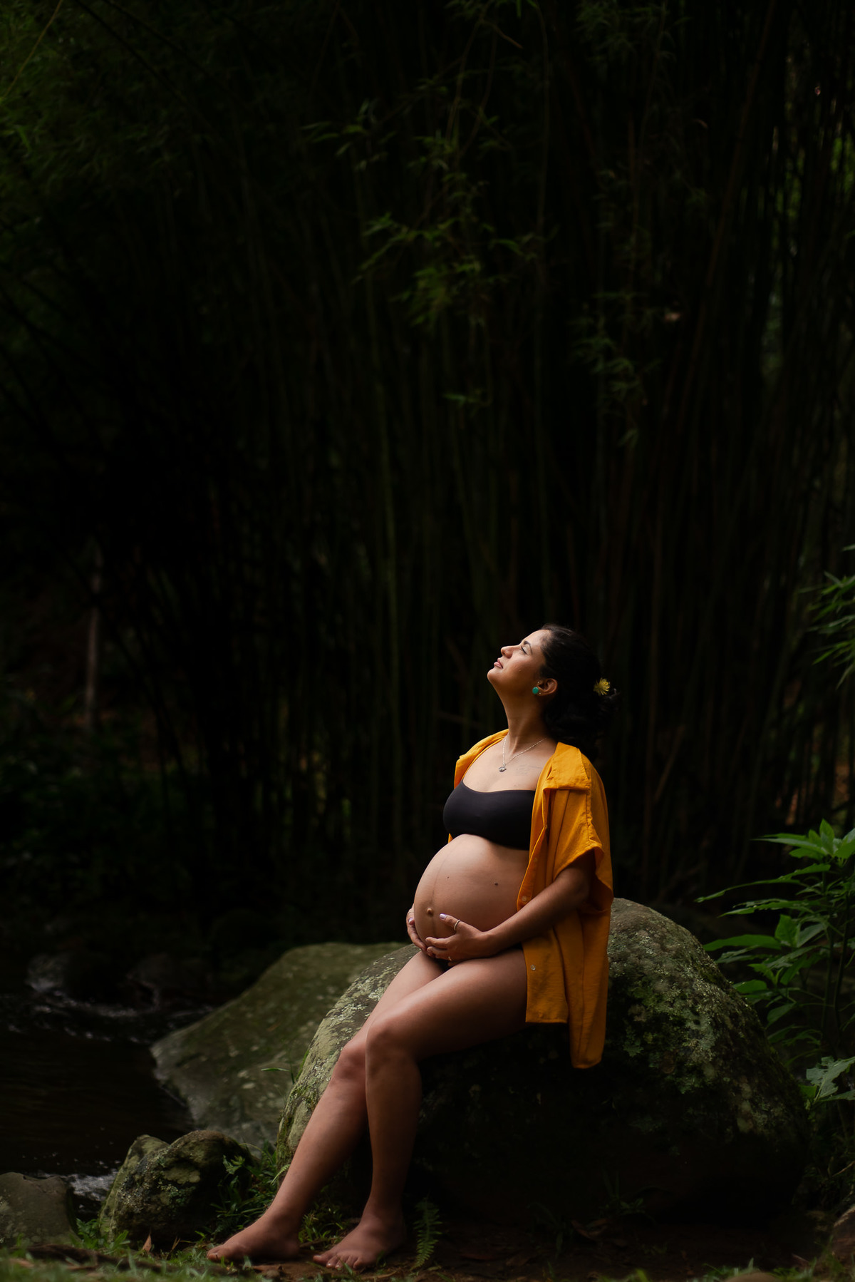 Ensaio gestante em nova friburgo.

Sessão de fotos espontâneas feita no Parque Municipal Juaréz Frotté - Nova Friburgo, RJ