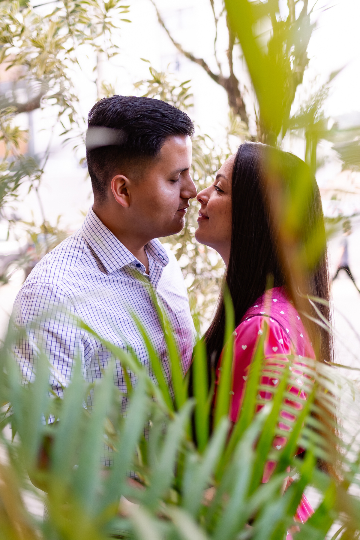 Ensaio pré-casamento em Nova Friburgo - RJ

Fotos espontâneas de pré-wedding na região serrana do Rio de Janeiro.