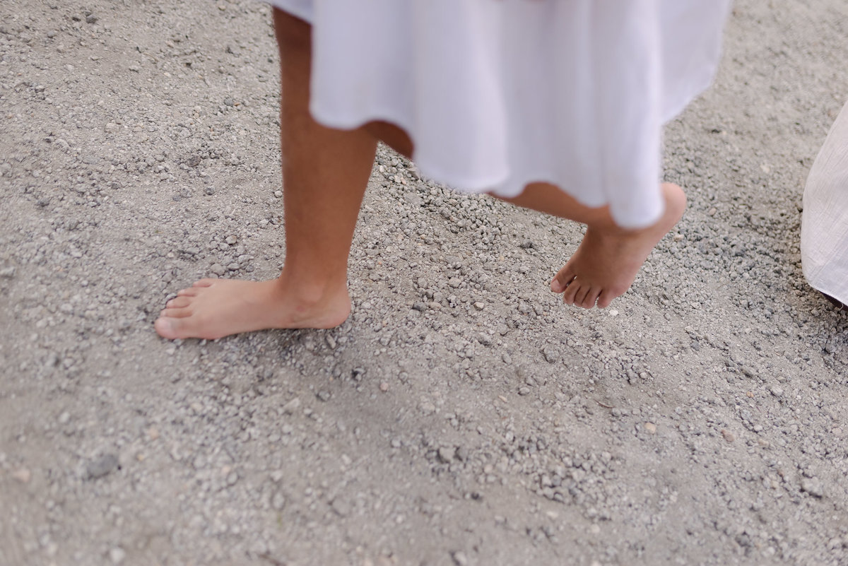 casamento intimista em Nova Friburgo. Fotografia espontânea e natural. Fotografo documental de casamentos diurnos