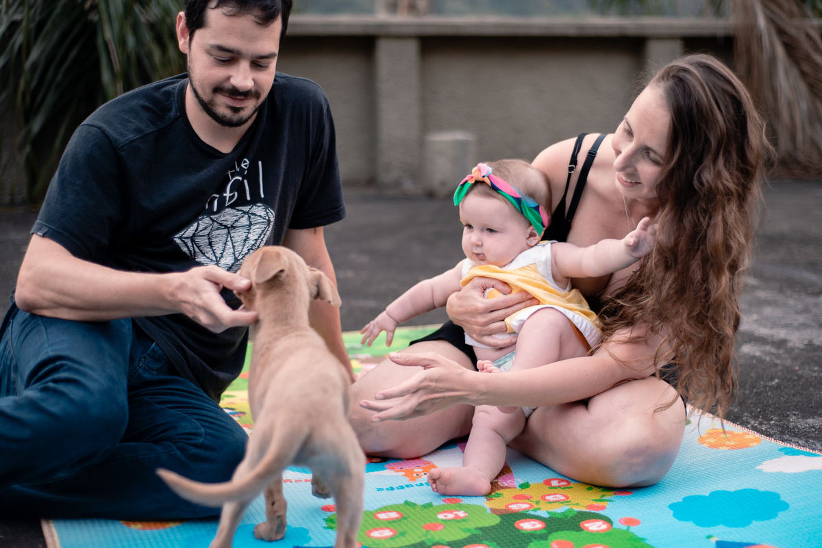 Ensaio de gestante e família em Nova Friburgo. Foto da mãe e o pai brincando com a filha e o filhote de cachorro
