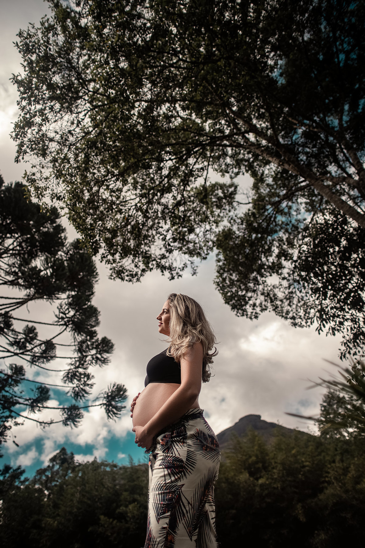 Fotógrafo em Nova Friburgo, ensaio Gestante. Foto conceitual da gestante de lado emoldurada por árvores