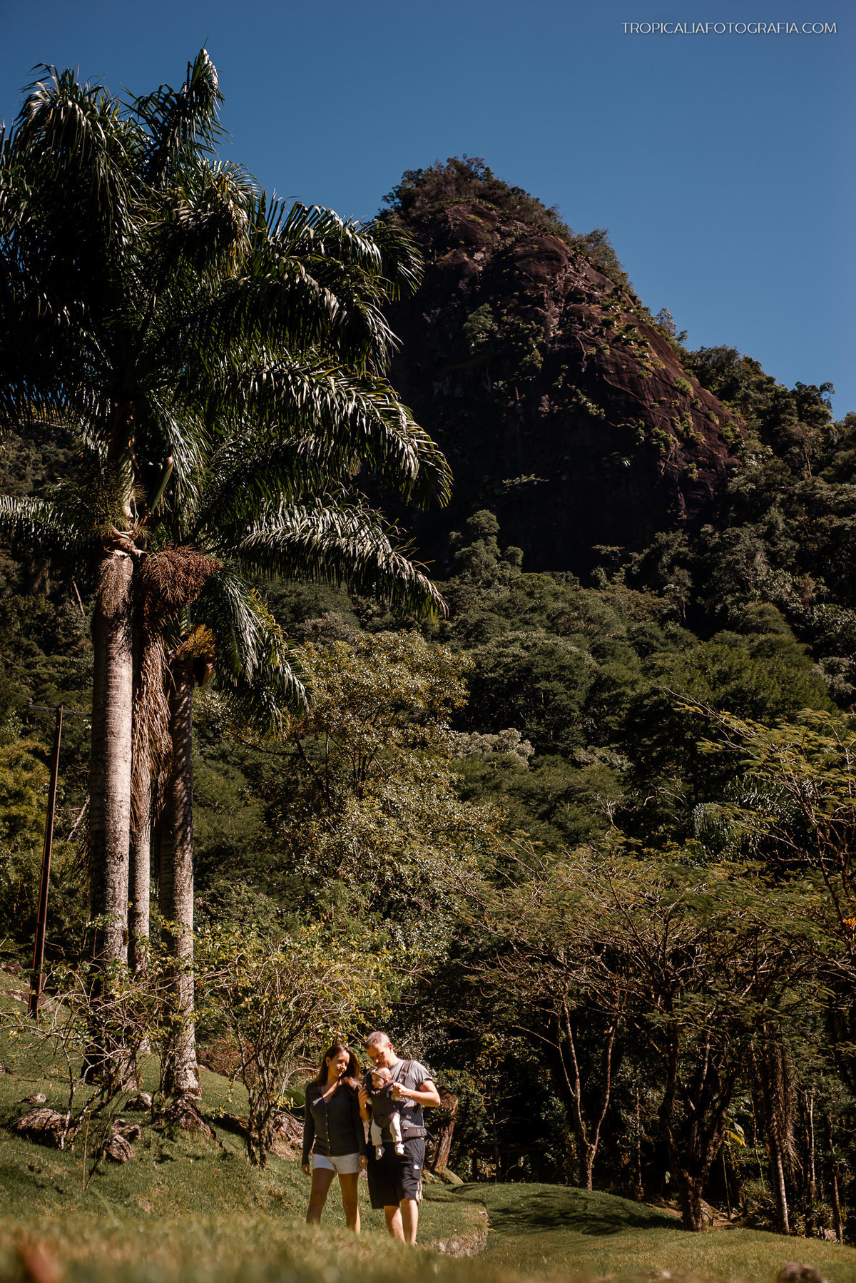 Ensaio documental de família em casa feito por fotógrafos em nova friburgo região serrana do rio de janeiro. Foto da paisagem do quintal da casa