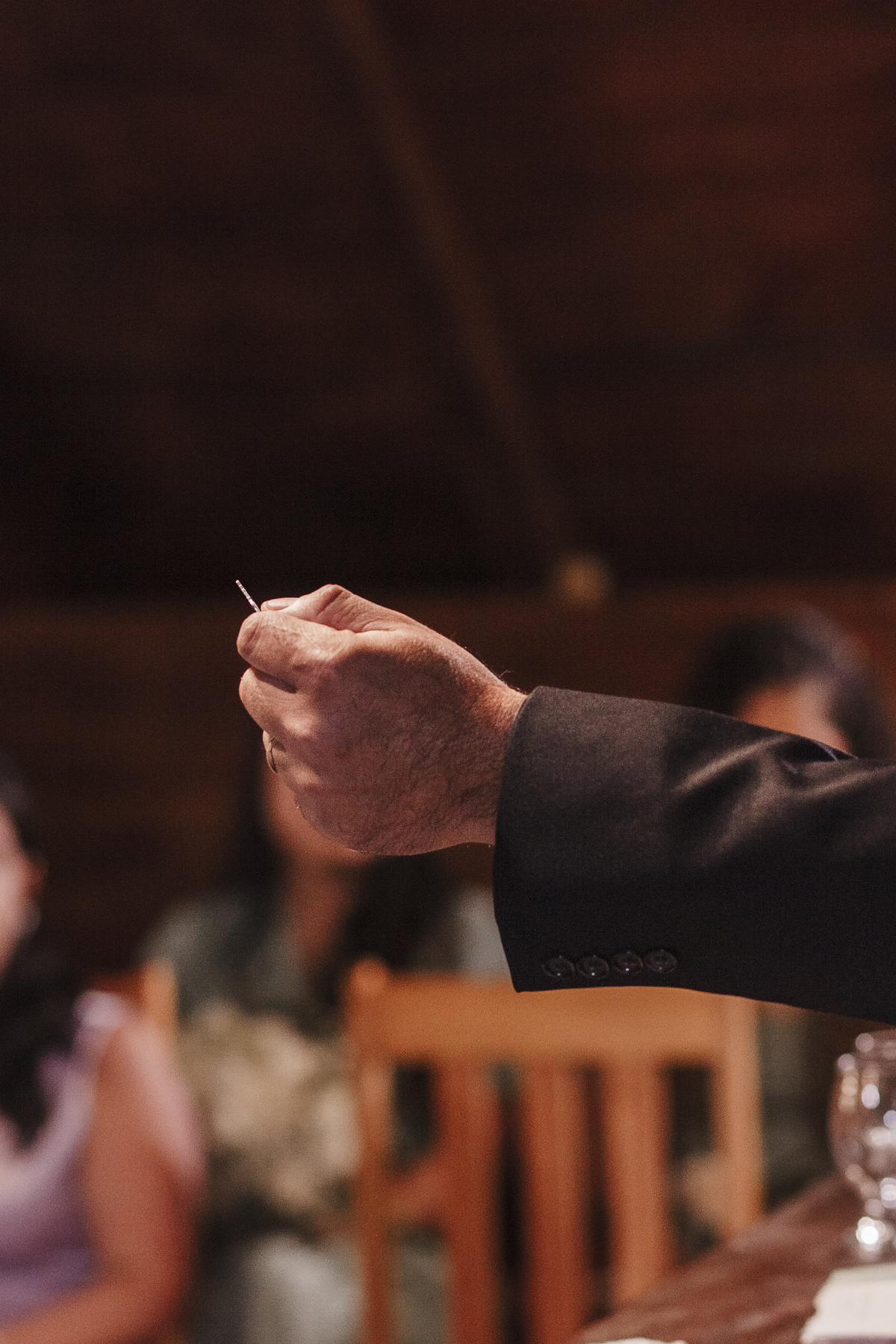 Fotos Cerimônia Casamento