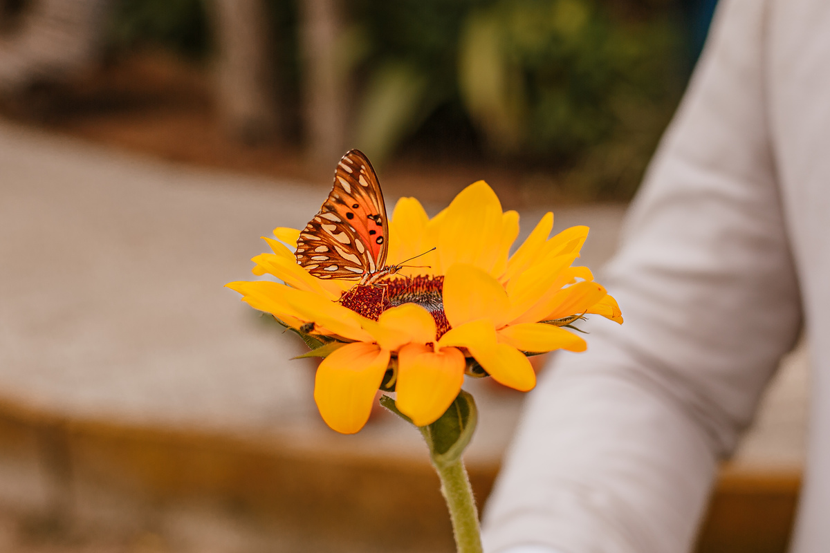 Sessão pós Cerimônia Casamento ao ar livre em Praia Grande - Serra Catarinense