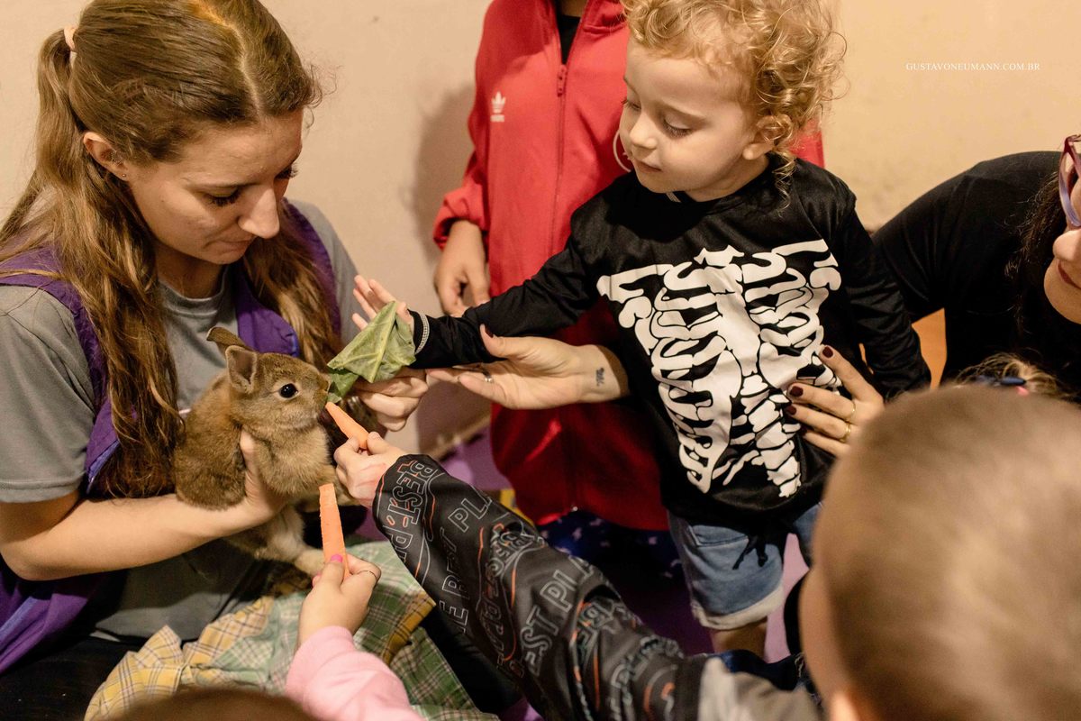 aniversário-infantil-casa-do-ipê-estância-velha-rs