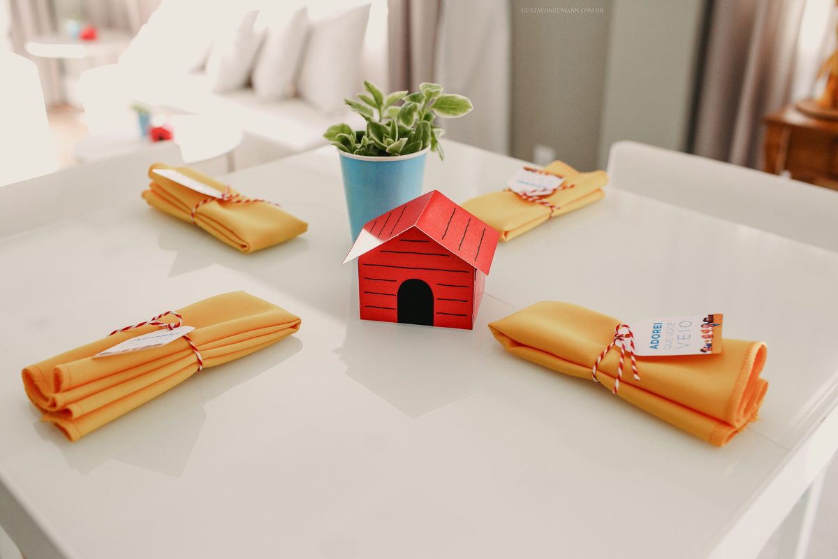 Aniversario do Snoopy e seus amigos em Porto Alegre.