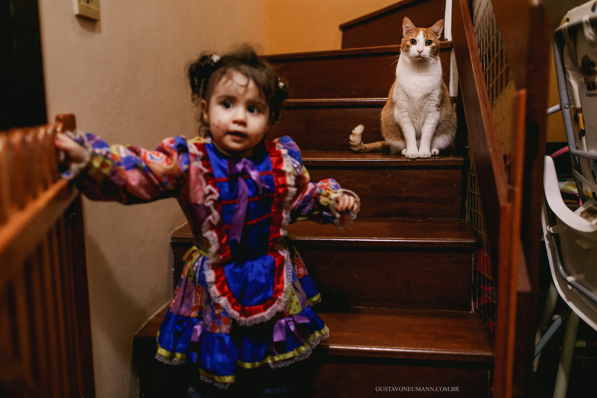 Criança na escada com o gatinho