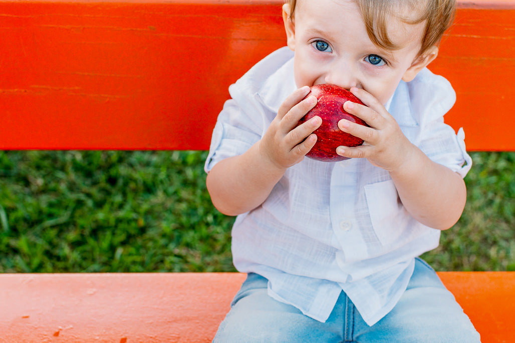 Geison Erdmann fotografia smash the cake fotografia de casamento fotógrafo bar mitzvah bat mitzvah fotos ao ar livre luz natural criança  maçã
