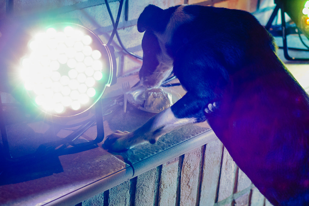 fotografia casamento ao ar livre noiva noivo porto alegre geison erdmann fotografia fotógrafo porto alegre rio grande do sul