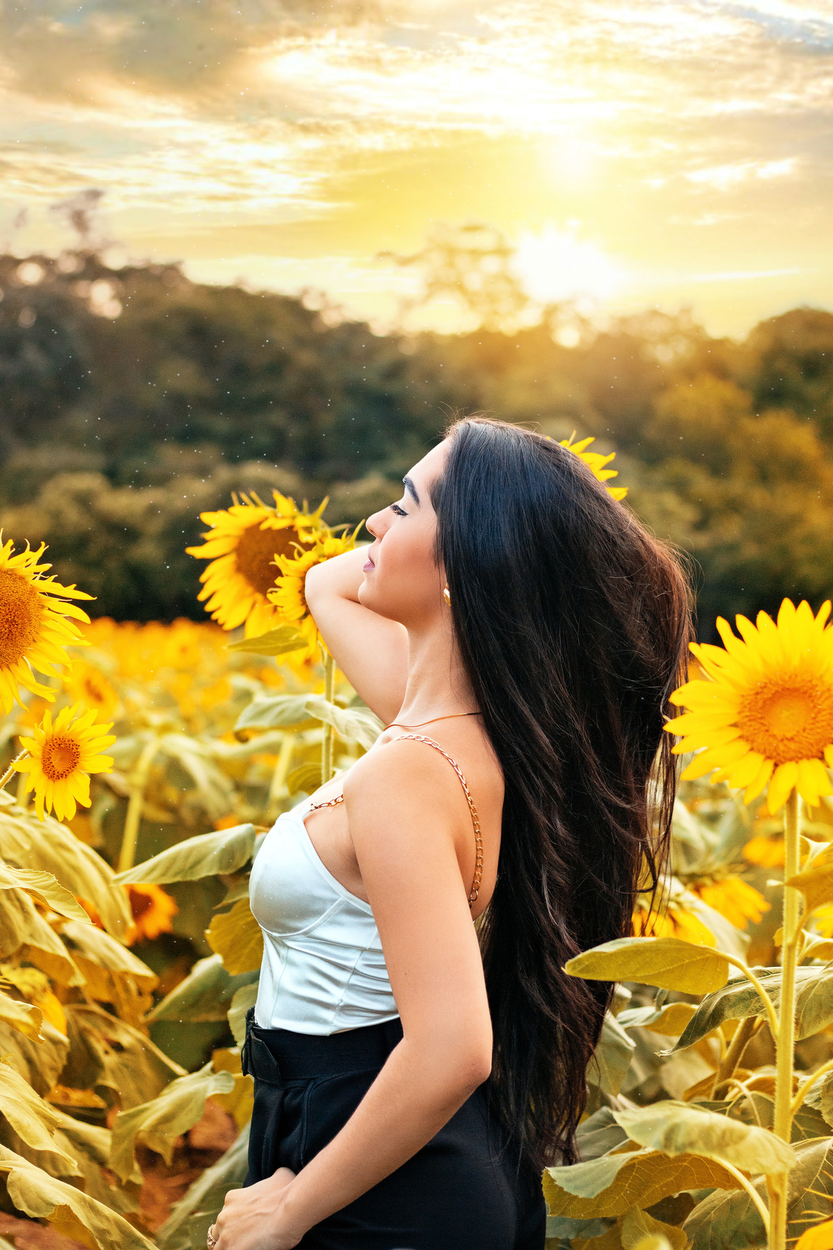 Fotografia de ensaio feminino em meio a girassóis, destacando o contraste entre a pele suave de Isadora e as flores amarelas.