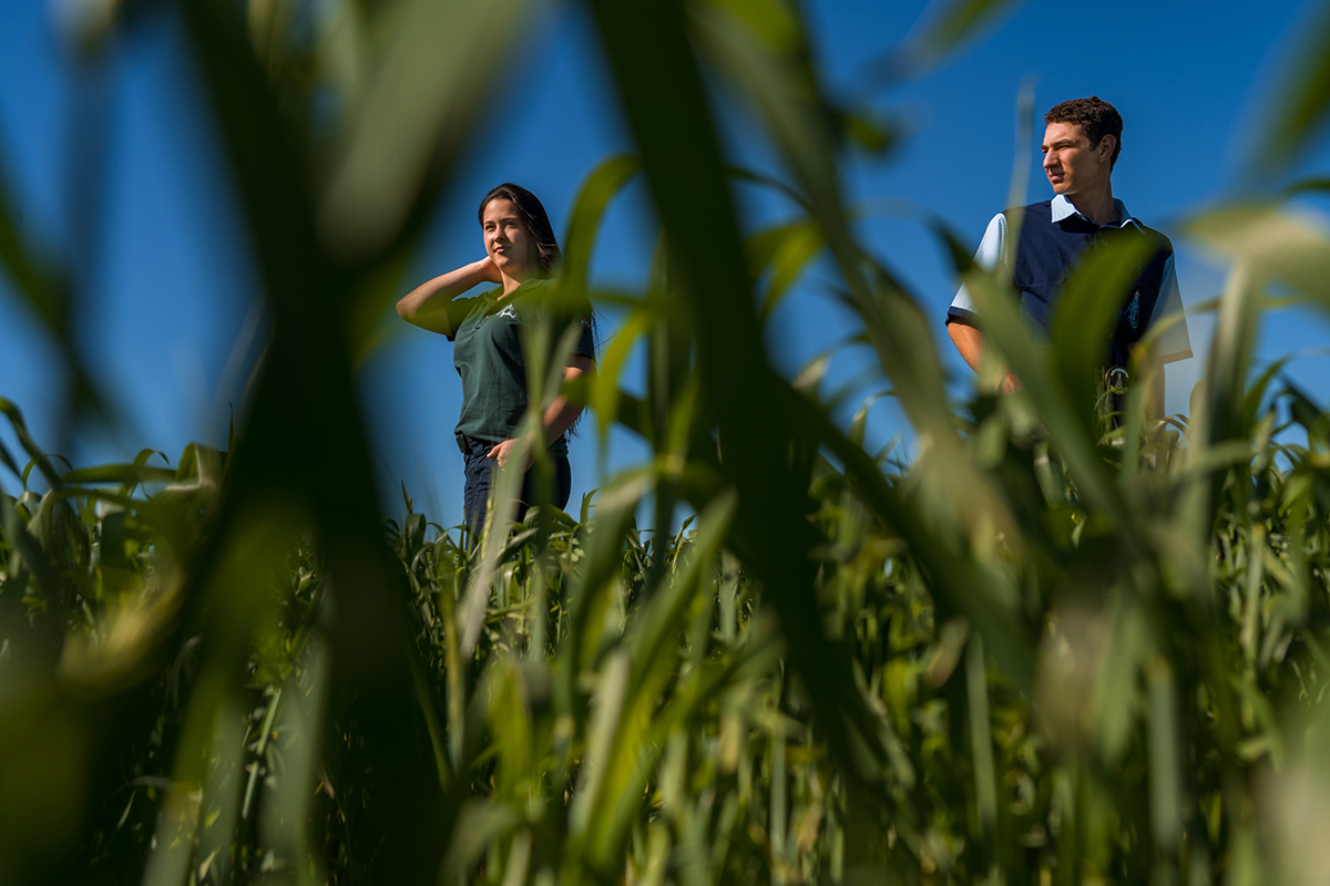 Pré Wedding foto criativa- Maiara e Paulo Henrique Brunopolis SC