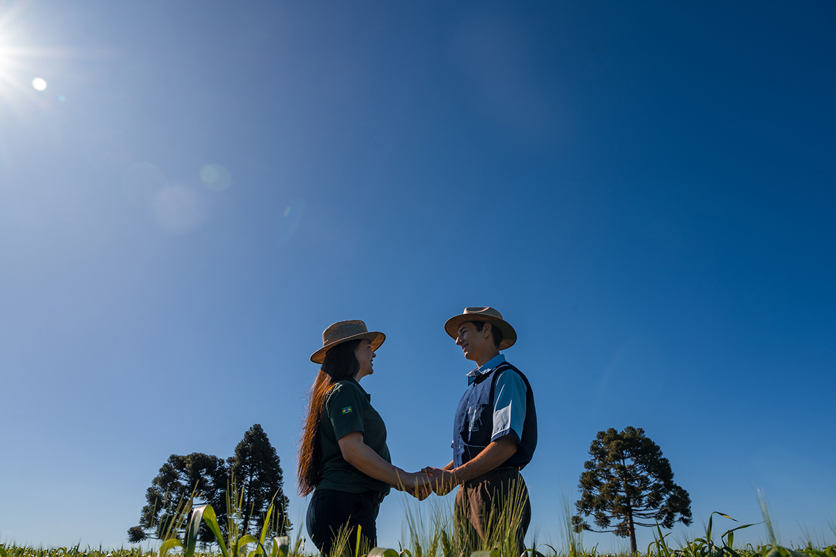Pré casamento no campo- Maiara e Paulo Henrique Brunopolis SC