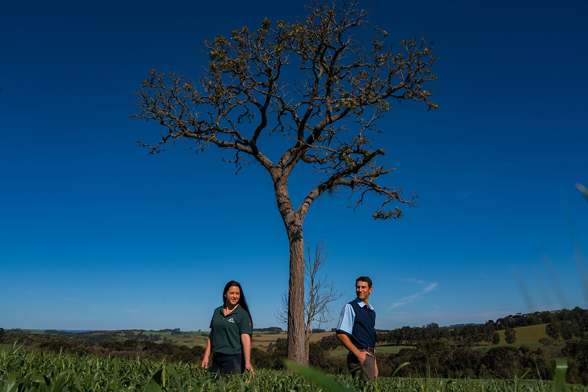 Pré casamento Maiara e Paulo Henrique Brunopolis SC