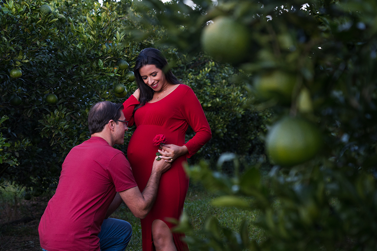 Fotos no campo, gestante Ires - Abdon Batista /SC