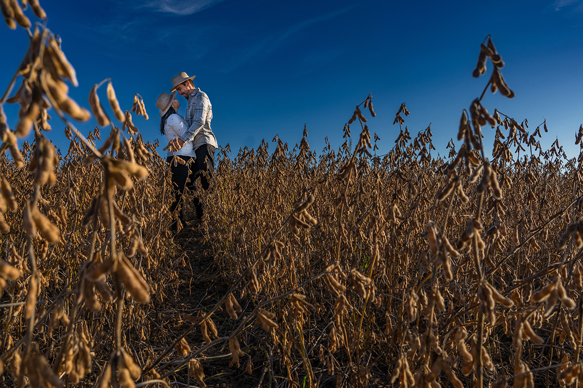 Pré wedding Leticia e Thiago foto criativa no campo Curitibanos - SC
