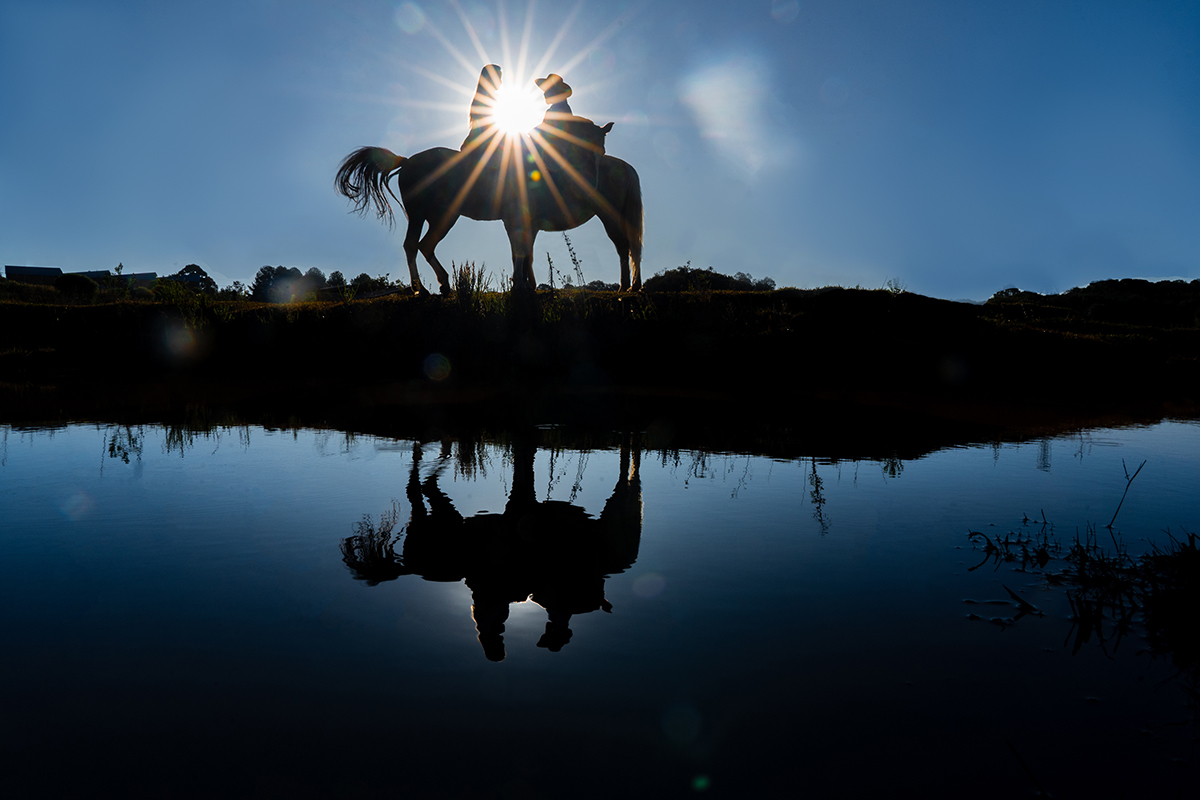 Pré wedding no campo Dani e Pablo  Campos Novos - SC