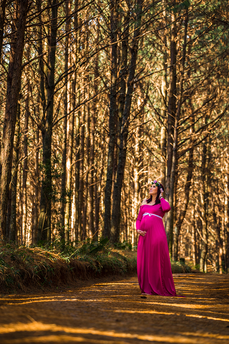 Fotos de Gestante Josi pinus