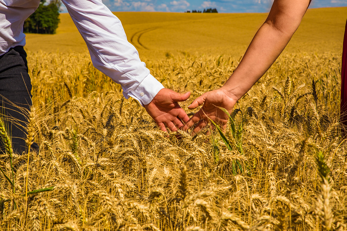Sessão externa Ivana e Altair- Campos Novos -SC Fotografo de casamento Elemar Henz 