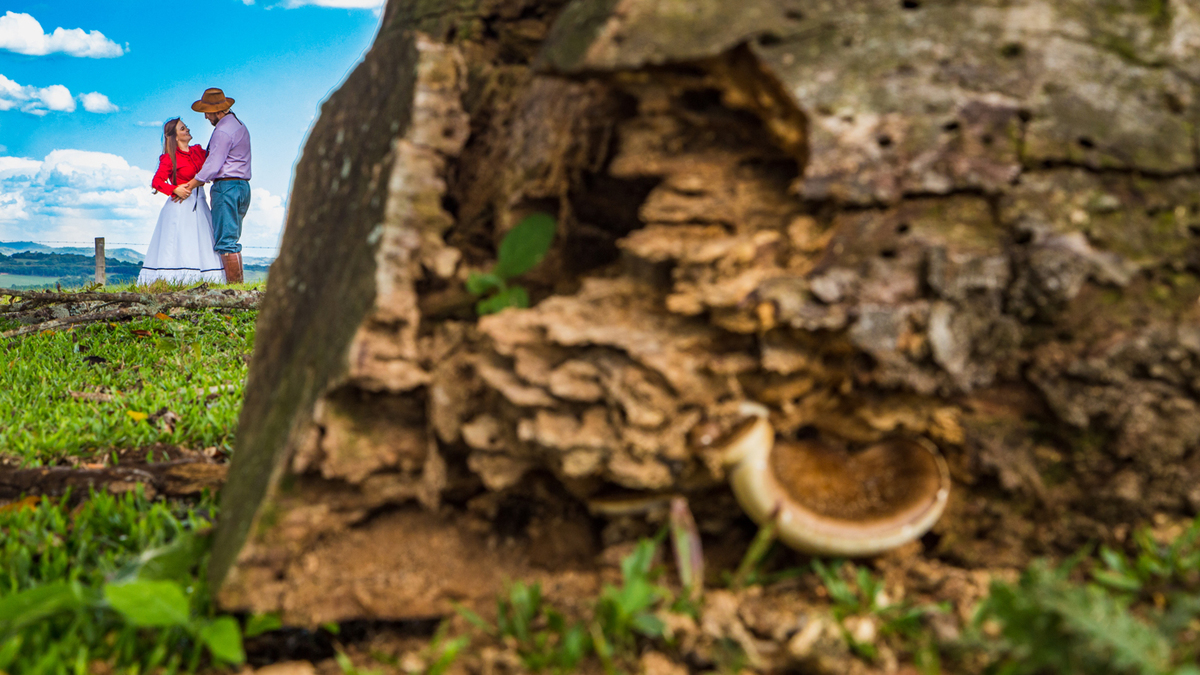 Pré Wedding Fazenda Marcéli e Maycon Campos Novos SC