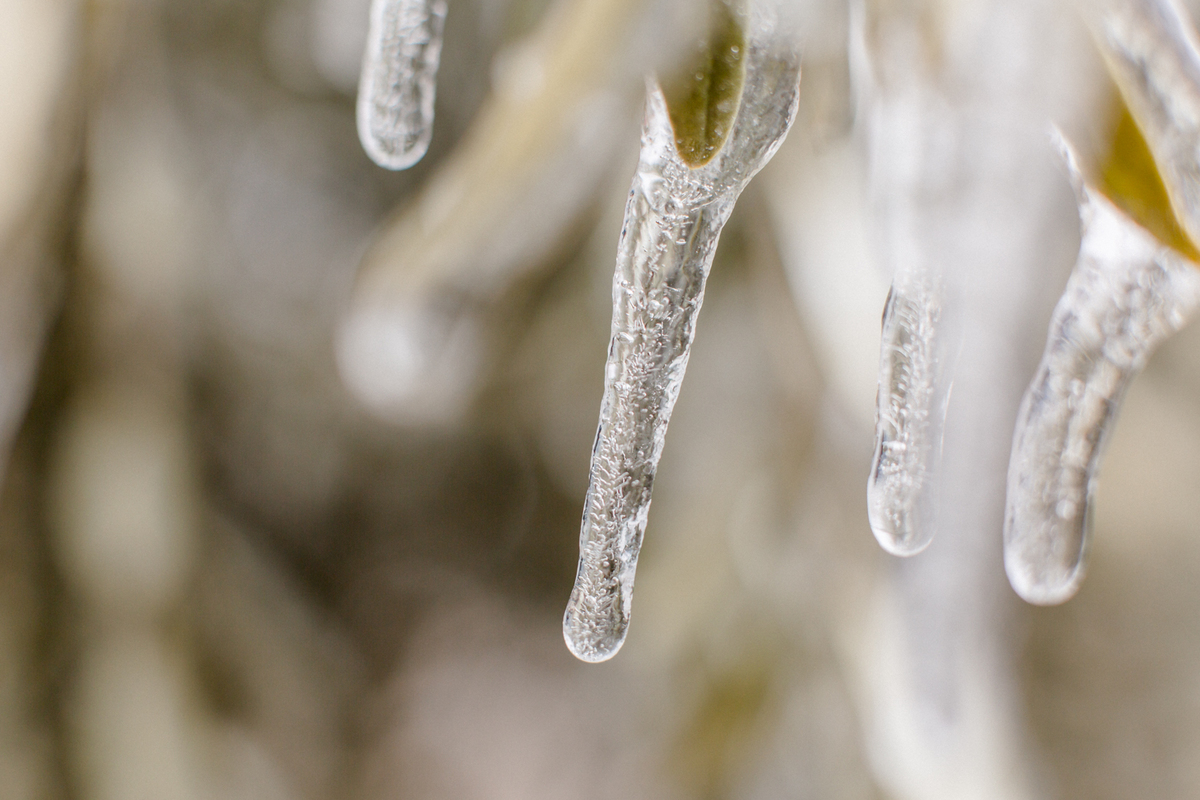 28 de Fevereiro de 2018