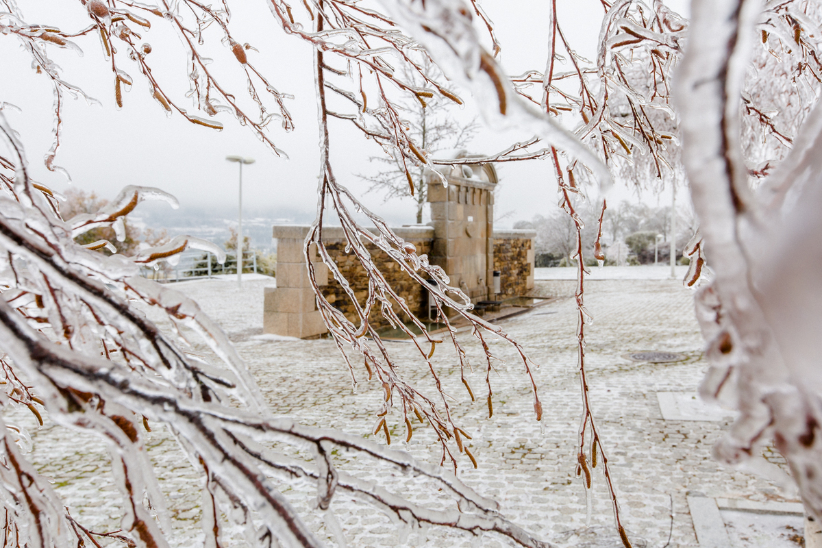 28 de Fevereiro de 2018