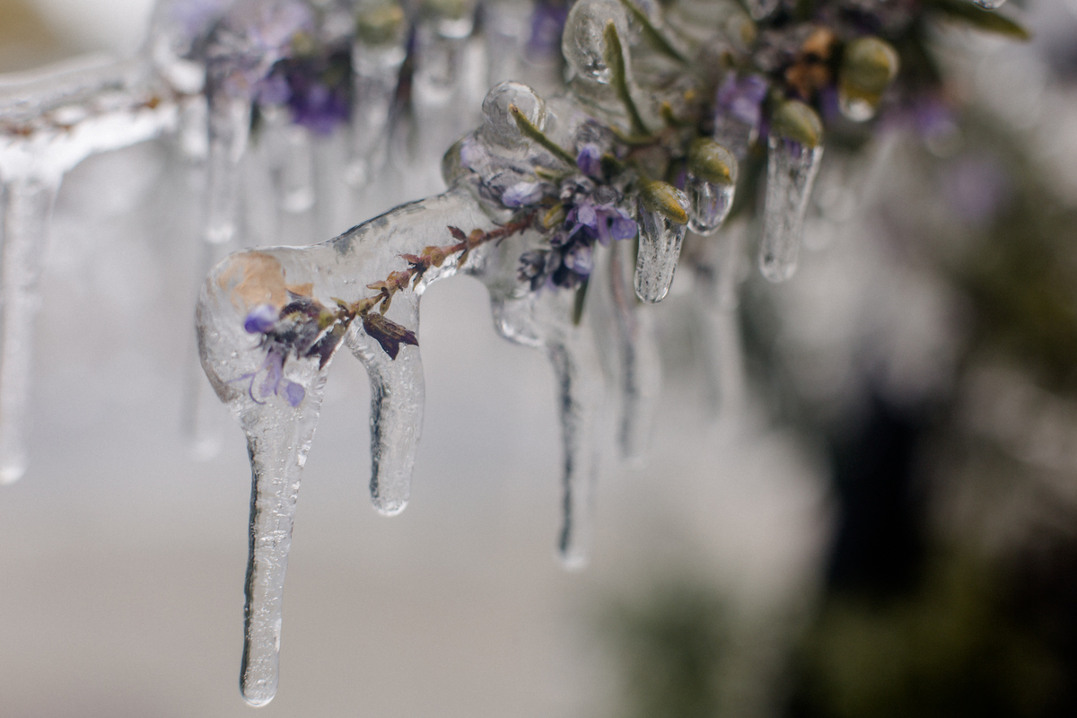 28 de Fevereiro de 2018