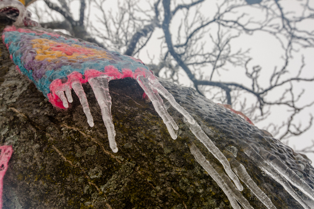 28 de Fevereiro de 2018