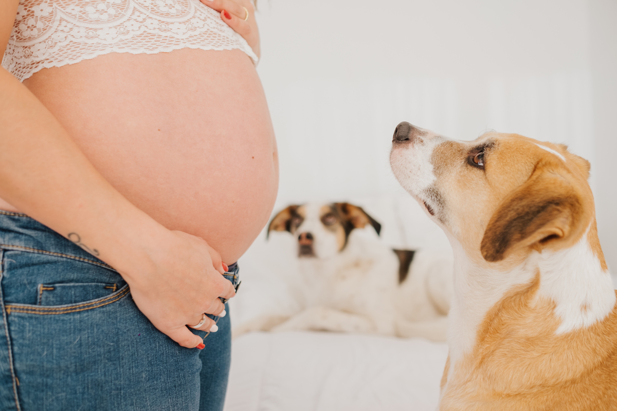 Sessão de Grávida - Sessão de Família - Um novo amor - Um novo ser  - Bebé Lindo - Amor - Amizade 