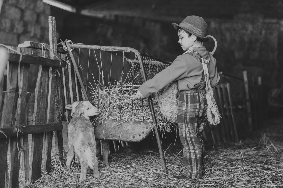 Dinis sonho de ser pastor mogadouro