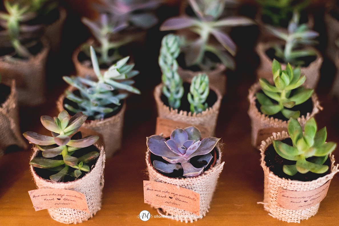 cactos e suculentas lembraças de casamento