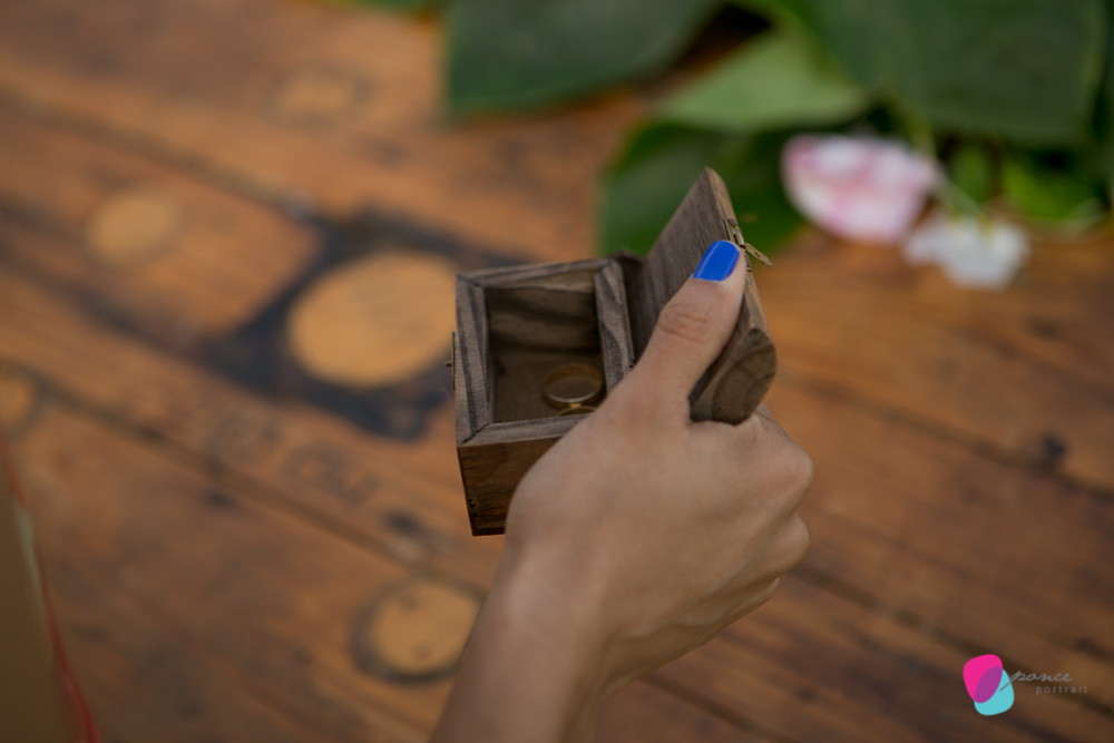 wedding, casamento, polones, wedding day, noiva, bride, couple, linda, felicidade, chapada dos guimaraes, casamento de dia, por do sol, festa, animacao, familia, noivo