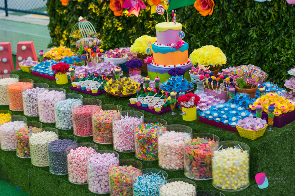 aniversario infantil, fotografia de aniversario, fotografia de festas infantis, festas, bday, birthday, decoracao, flores, decoracao de festas, ponce fotografia, ponce portrait, fotografo de aniversario, fotografos de cuiaba, fotografia cuiaba, fotografia