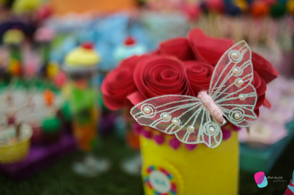 aniversario infantil, fotografia de aniversario, fotografia de festas infantis, festas, bday, birthday, decoracao, flores, decoracao de festas, ponce fotografia, ponce portrait, fotografo de aniversario, fotografos de cuiaba, fotografia cuiaba, fotografia