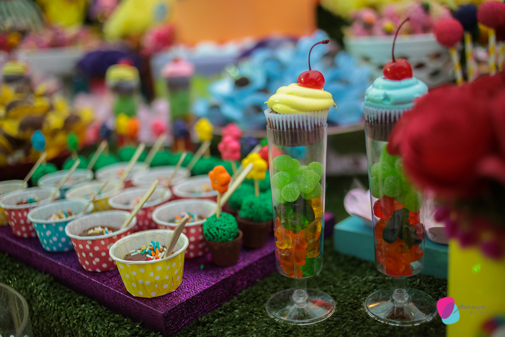 aniversario infantil, fotografia de aniversario, fotografia de festas infantis, festas, bday, birthday, decoracao, flores, decoracao de festas, ponce fotografia, ponce portrait, fotografo de aniversario, fotografos de cuiaba, fotografia cuiaba, fotografia