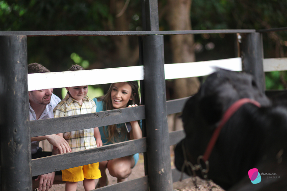 aniversario infantil, aniversario de menino, festa infantil, aniversario de crianca, festa de menino, fotografoa de festas, fotografo infantil, fotografia de  aniversario infantil, fotografo em cuiaba, fotografia cuiaba, fazendinha cocorico, tia hanna, po