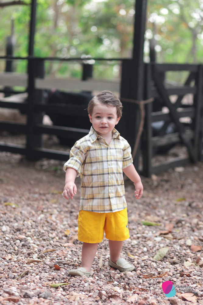 aniversario infantil, aniversario de menino, festa infantil, aniversario de crianca, festa de menino, fotografoa de festas, fotografo infantil, fotografia de  aniversario infantil, fotografo em cuiaba, fotografia cuiaba, fazendinha cocorico, tia hanna, po